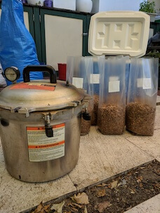 6 bags prepared