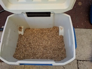 Mix sawdust and bran